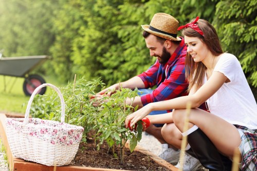 Diverse plant selection for Lewisham garden