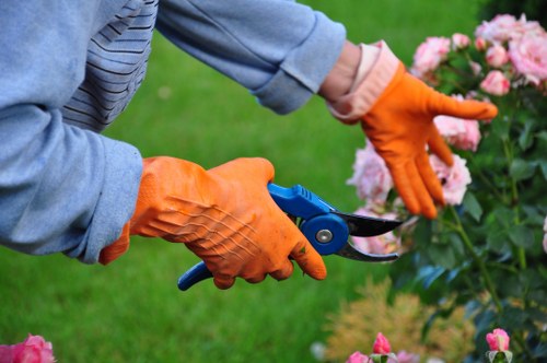 Sustainable gardening practices in a Lewisham garden