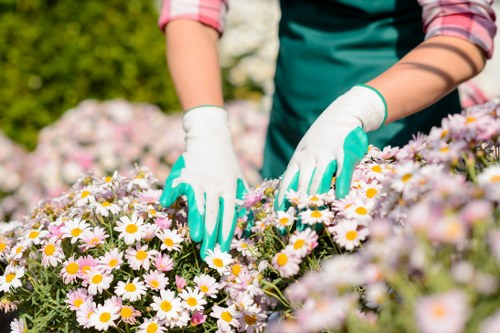 Free quote policy image showing a gardener assessing a garden