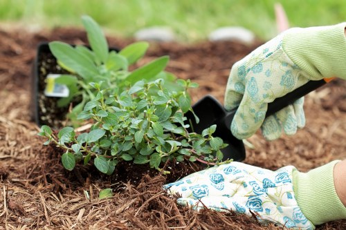 Operative wearing PPE while operating garden machinery