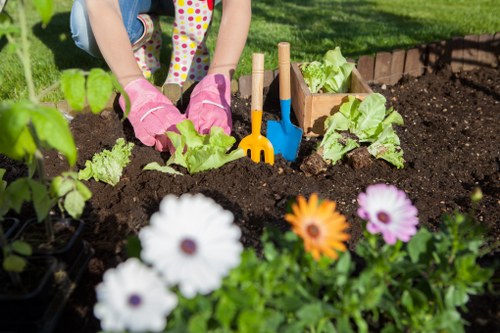 Healthy green lawn with neat edging