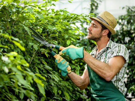 Training and emergency preparedness for garden crews