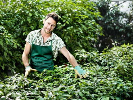 Professional landscape gardener working in Lewisham garden