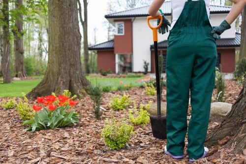 Garden clearance team at work
