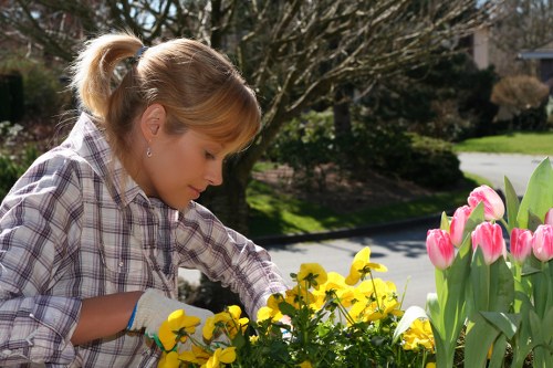 Different types of hedges being maintained