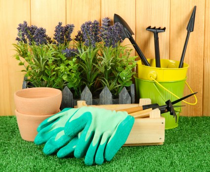 Sustainable landscaping practices in Lewisham