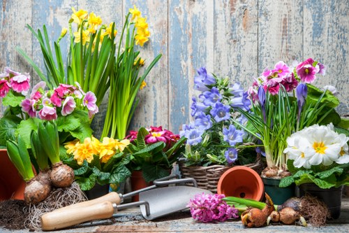 Vibrant Lewisham garden showcasing expert gardening services